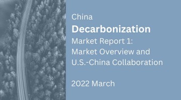 中国脱碳市场研究报告